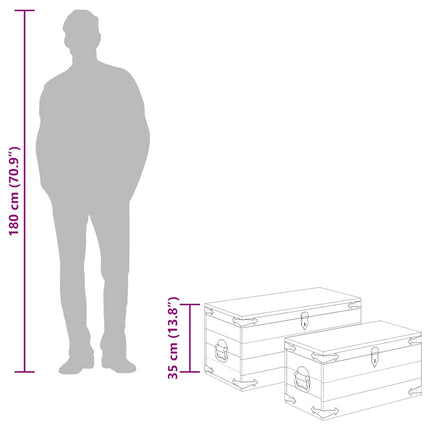 Coffre de rangement 2 pcs Bois de manguier brut