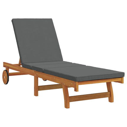 Transat 1-Personne Marron 63 X 199 X 85Cm Bois D'acacia Massif Gris foncé Chaise longue
