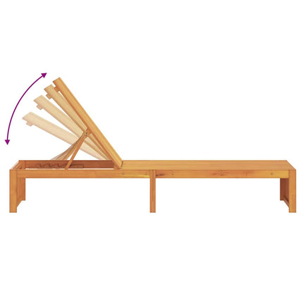 Transat 1-personne Marron 200 x 55 x 94cm Bois d'acacia massif