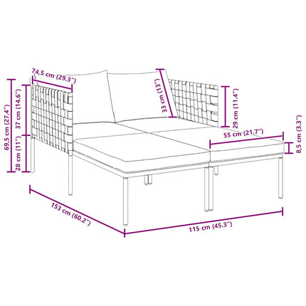 Transat avec coussin Anthracite 115 x 153 x 69.5cm Acier