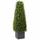 Arbre d'Eucalyptus Artificiel Vert 27 x 27 x 90 cm Plastique