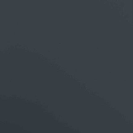 Stockage de Poubelle à Roulettes avec Couvercle à Gaz Relevable pour Poubelle de 240L